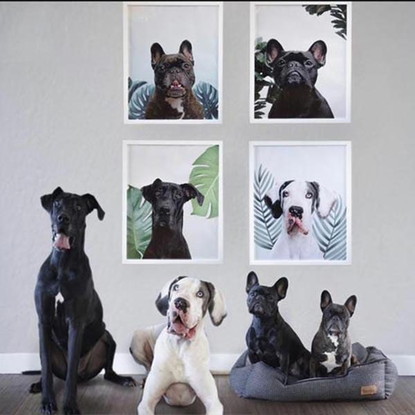 Custom Pet Art Framed Print