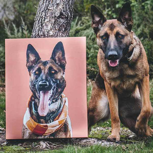 Custom Pet Art Canvas